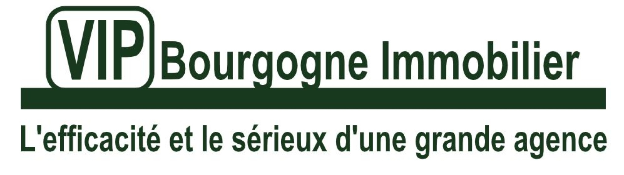 Logo Agence Vip Bourgogne Immobilier 