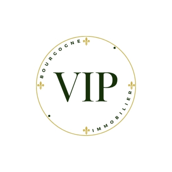 Logo Agence Vip Bourgogne Immobilier